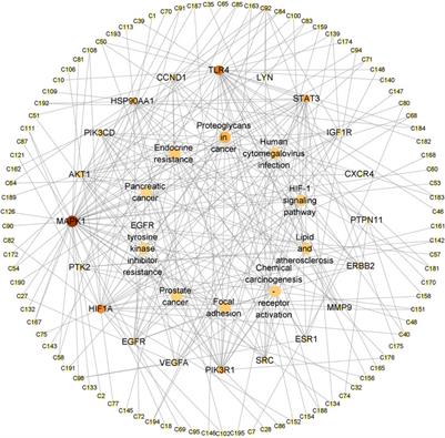 Chemical profiling of Sanjin tablets and exploration of their effective substances and mechanism in the treatment of urinary tract infections